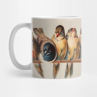 Bird clothesline Mug